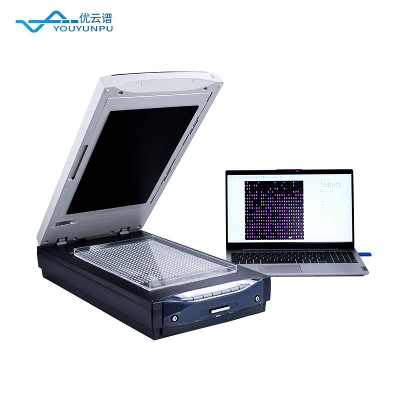 稻米品質分析儀：科學評價稻米品質的重要工具